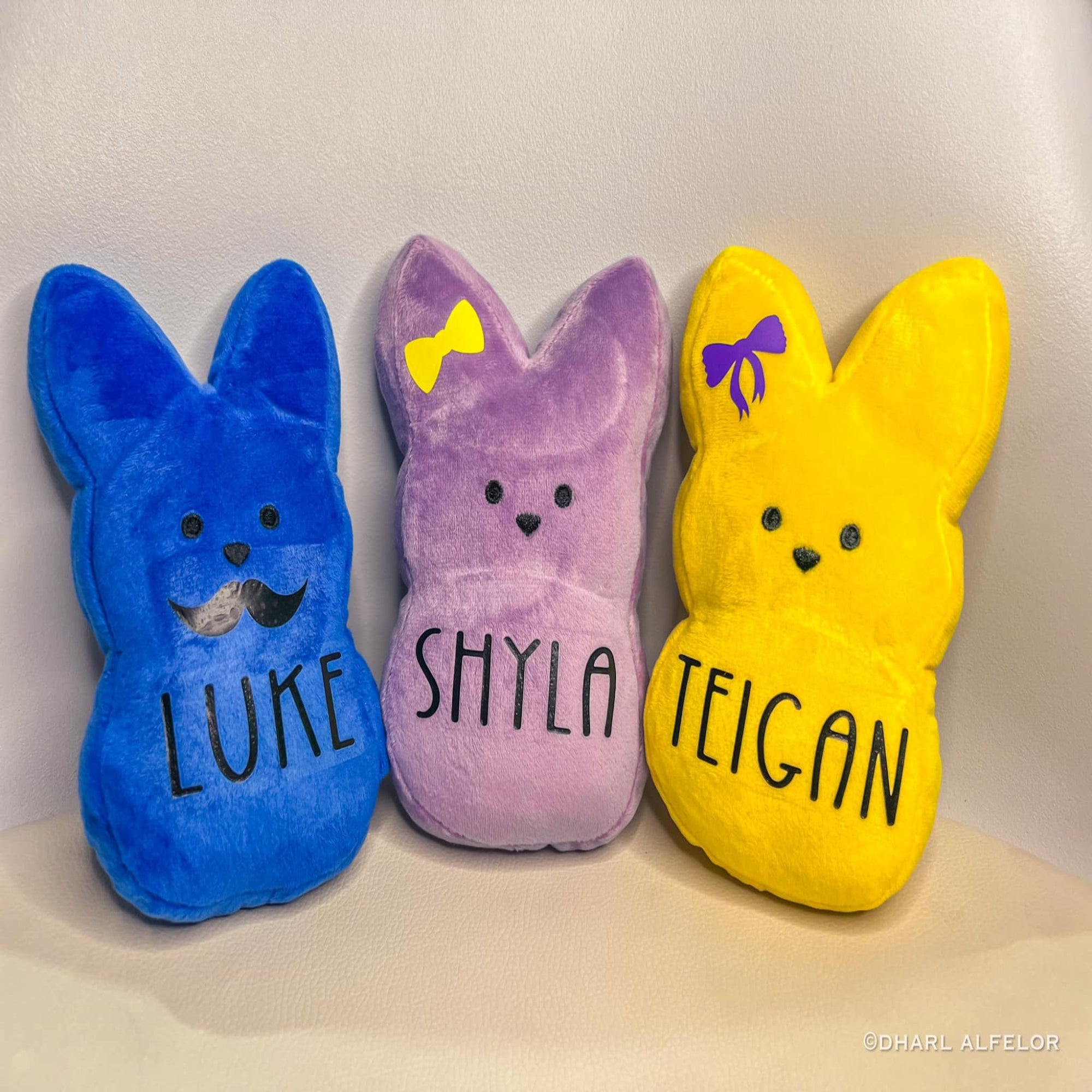 Three colorful plush toys with names 'Luke', 'Shyla', and 'Teigan' on a light background.