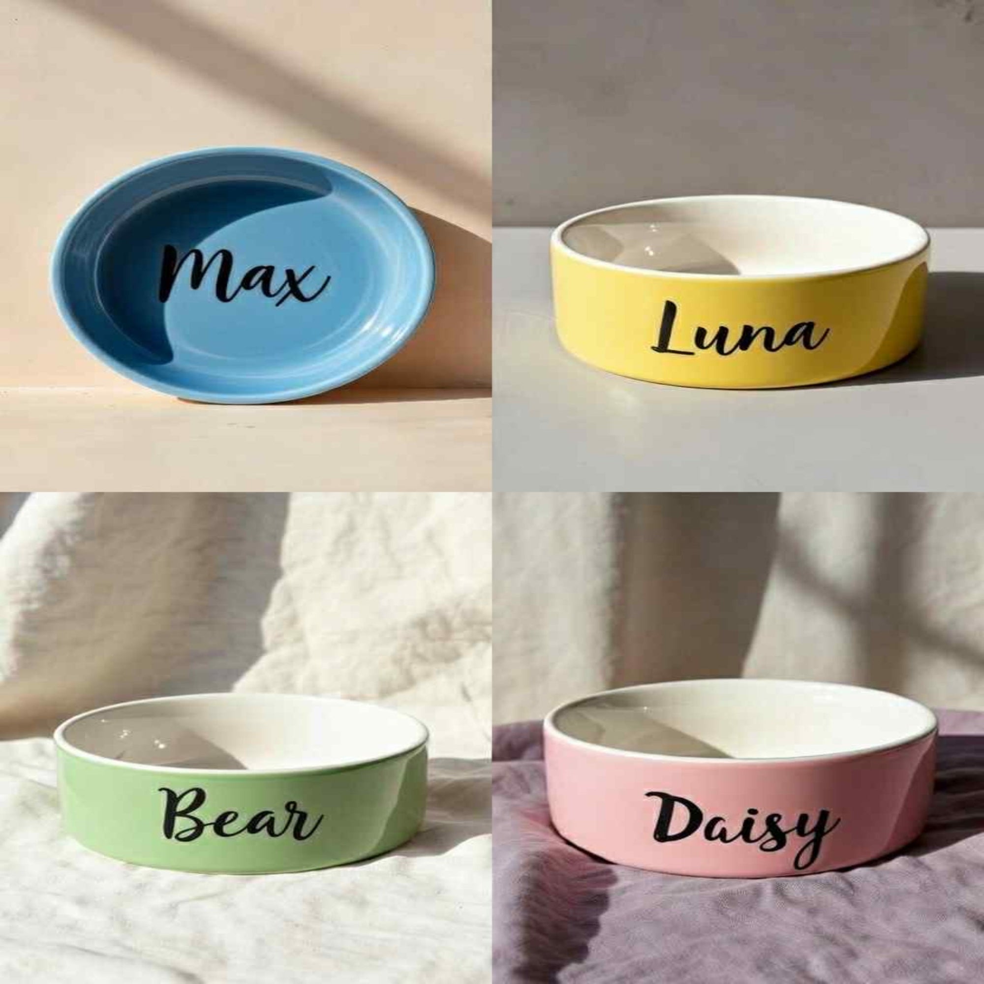 Four ceramic pet bowls in different colors with names 'Max', 'Luna', 'Bear', and 'Daisy' on a neutral background.